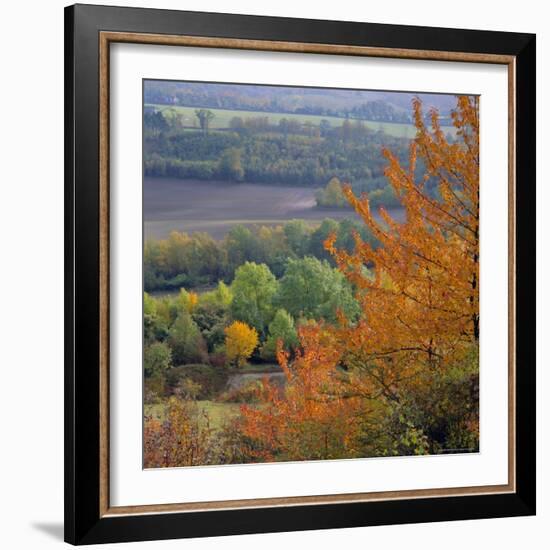 The North Downs, Near Dorking, Surrey, England, UK, Europe-Roy Rainford-Framed Photographic Print