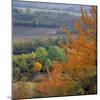The North Downs, Near Dorking, Surrey, England, UK, Europe-Roy Rainford-Mounted Photographic Print