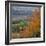 The North Downs, Near Dorking, Surrey, England, UK, Europe-Roy Rainford-Framed Photographic Print