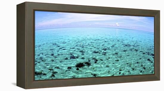 The North Sound on a Flat Calm Morning, Grand Cayman-Stocktrek Images-Framed Premier Image Canvas