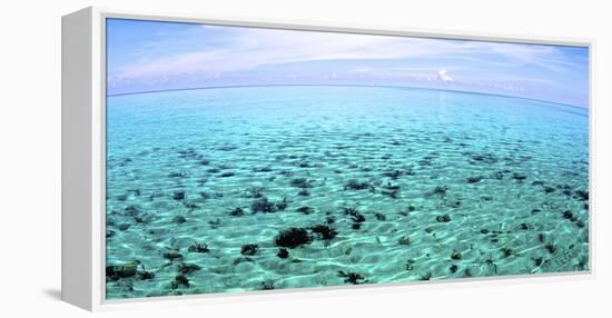 The North Sound on a Flat Calm Morning, Grand Cayman-Stocktrek Images-Framed Premier Image Canvas