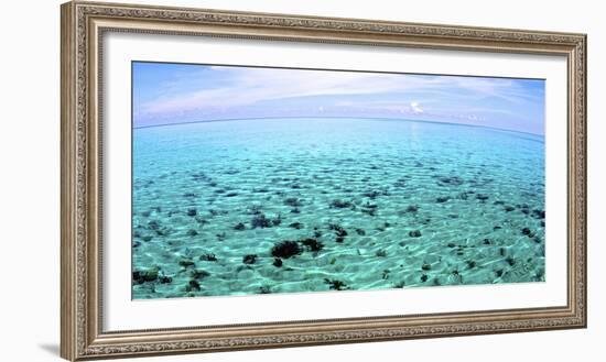 The North Sound on a Flat Calm Morning, Grand Cayman-Stocktrek Images-Framed Photographic Print