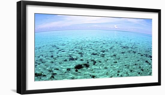 The North Sound on a Flat Calm Morning, Grand Cayman-Stocktrek Images-Framed Photographic Print