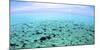 The North Sound on a Flat Calm Morning, Grand Cayman-Stocktrek Images-Mounted Photographic Print