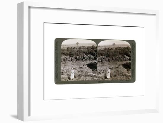 The North-West View from Shunem, across the Plain of Esdraelon, Towards Carmel, 1900s-Underwood & Underwood-Framed Giclee Print