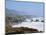 The Northern California Coastline, California, United States of America, North America-Michael DeFreitas-Mounted Photographic Print