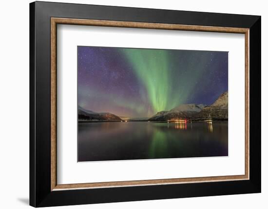 The Northern Lights Illuminates the Icy Sea, Troms-Roberto Moiola-Framed Photographic Print