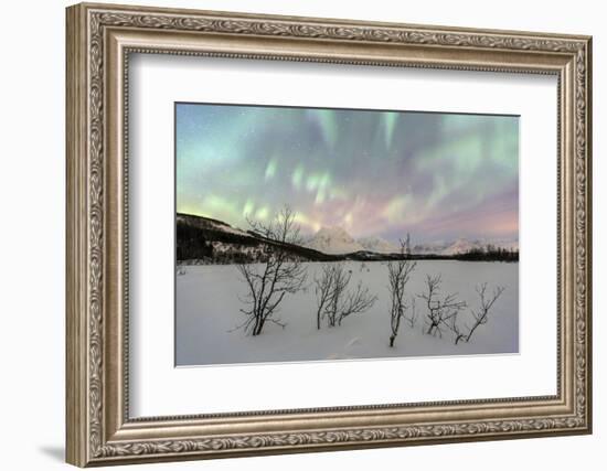 The Northern Lights Illuminates the Snowy Landscape in Svensby, Lyngen Alps, Troms, Lapland, Norway-Roberto Moiola-Framed Photographic Print