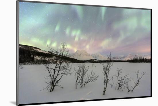 The Northern Lights Illuminates the Snowy Landscape in Svensby, Lyngen Alps, Troms, Lapland, Norway-Roberto Moiola-Mounted Photographic Print