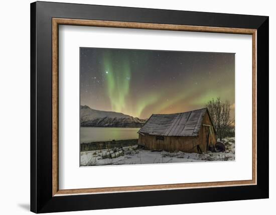 The Northern Lights Illuminates the Wooden Cabin, Svensby, Lyngen Alps, Troms, Lapland, Norway-Roberto Moiola-Framed Photographic Print