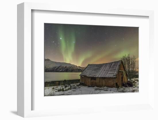 The Northern Lights Illuminates the Wooden Cabin, Svensby, Lyngen Alps, Troms, Lapland, Norway-Roberto Moiola-Framed Photographic Print