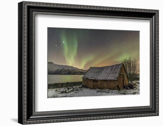 The Northern Lights Illuminates the Wooden Cabin, Svensby, Lyngen Alps, Troms, Lapland, Norway-Roberto Moiola-Framed Photographic Print