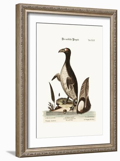 The Northern Penguin, 1749-73-George Edwards-Framed Giclee Print