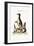 The Northern Penguin, 1749-73-George Edwards-Framed Giclee Print