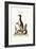 The Northern Penguin, 1749-73-George Edwards-Framed Giclee Print