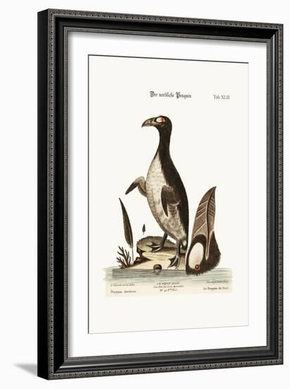 The Northern Penguin, 1749-73-George Edwards-Framed Giclee Print