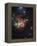 The Northern Trifid Nebula-Stocktrek Images-Framed Premier Image Canvas