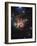 The Northern Trifid Nebula-Stocktrek Images-Framed Photographic Print