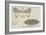 The Northumberland Prize Life-Boat-null-Framed Giclee Print