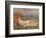 The Nude in the Grass-Pierre-Auguste Renoir-Framed Giclee Print