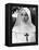 The Nun's Story, Audrey Hepburn, 1959-null-Framed Stretched Canvas