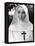 The Nun's Story, Audrey Hepburn, 1959-null-Framed Stretched Canvas