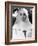 The Nun's Story, Audrey Hepburn, 1959-null-Framed Photo