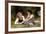 The Nut Gatherers, 1882-William Adolphe Bouguereau-Framed Giclee Print