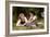 The Nut Gatherers, 1882-William Adolphe Bouguereau-Framed Giclee Print