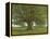 The Oak of Flagey, Called Vercingetorix-Gustave Courbet-Framed Premier Image Canvas