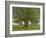 The Oak of Flagey, Called Vercingetorix-Gustave Courbet-Framed Giclee Print