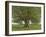 The Oak of Flagey, Called Vercingetorix-Gustave Courbet-Framed Giclee Print