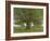 The Oak of Flagey, Called Vercingetorix-Gustave Courbet-Framed Giclee Print