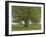 The Oak of Flagey, Called Vercingetorix-Gustave Courbet-Framed Giclee Print