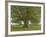 The Oak of Flagey, Called Vercingetorix-Gustave Courbet-Framed Giclee Print