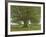 The Oak of Flagey, Called Vercingetorix-Gustave Courbet-Framed Giclee Print