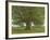 The Oak of Flagey, Called Vercingetorix-Gustave Courbet-Framed Giclee Print