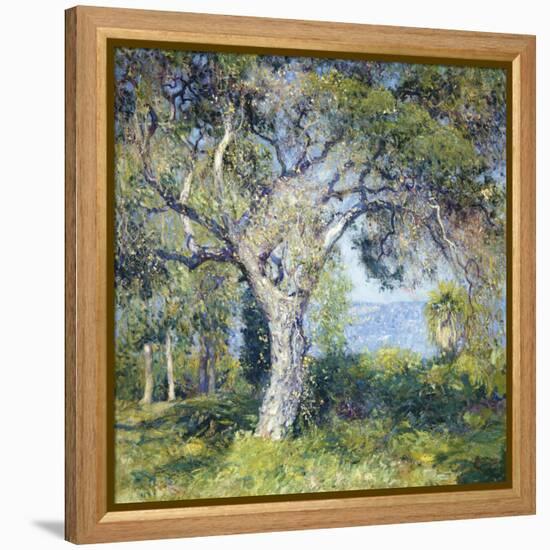 The Oak-Guy Rose-Framed Stretched Canvas