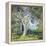 The Oak-Guy Rose-Framed Stretched Canvas