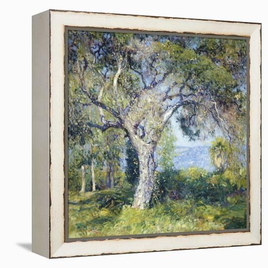 The Oak-Guy Rose-Framed Stretched Canvas