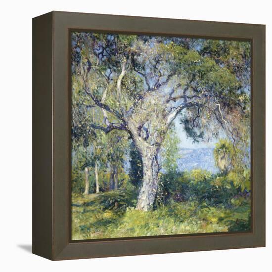 The Oak-Guy Rose-Framed Stretched Canvas