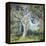 The Oak-Guy Rose-Framed Stretched Canvas