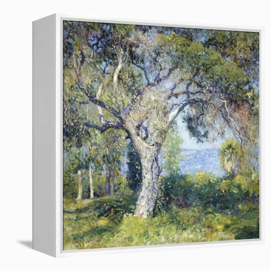 The Oak-Guy Rose-Framed Stretched Canvas