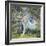 The Oak-Guy Rose-Framed Art Print