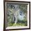 The Oak-Guy Rose-Framed Art Print