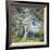 The Oak-Guy Rose-Framed Art Print