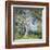 The Oak-Guy Rose-Framed Art Print