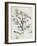 The Oak-Paul Cézanne-Framed Giclee Print