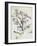 The Oak-Paul Cézanne-Framed Giclee Print