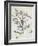 The Oak-Paul Cézanne-Framed Giclee Print